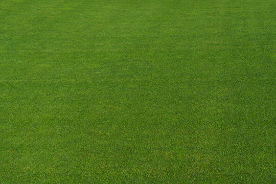  textured soccer game field with free copy space background - stadium center, midfield
