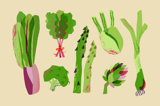 A garden set featuring onions, artichokes, fennel, asparagus, lettuce, and broccoli. Vector harvest illustration in a trendy mid-century style. Suitable for stickers, decor, and postcards.