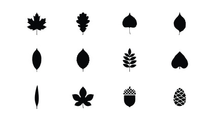Black minimalist leaf and acorn vector illustration collection for nature design with ideal nature themed branding botanical projects monochromatic collection twelve © Pronab