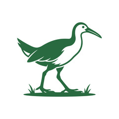 Obraz premium Green Silhouette of a Wading Bird Walking on Grass