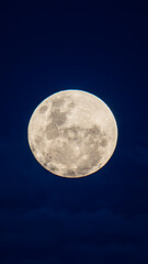 Detailed Full Moon Against Deep Blue Night Sky High-resolution image of a bright full moon with visible craters and surface details against a deep blue night sky. © Luis