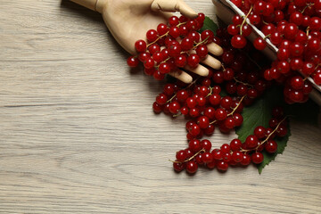 Redcurrant berries with green leaves on a white background. © Pixora ST 