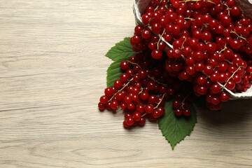 Redcurrant berries with green leaves on a white background. © Pixora ST 