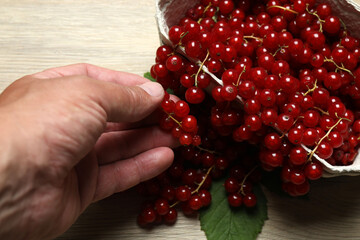 Redcurrant berries with green leaves on a white background. © Pixora ST 