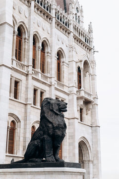 Majestic lion statue at the Hungarian Parliament