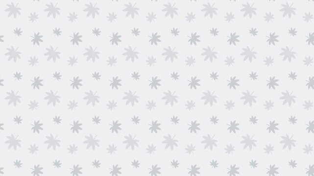 White japanese momiji maple leaves pattern scrolling, autumn seamless loop background
