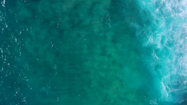 Cinematic aerial drone footage of visitors enjoying a leisurely stroll along a palm-lined beachfront pathway beside a pristine tropical beach. Gentle Pacific waves, lush coastal gardens