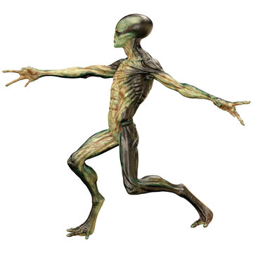 3D Rendering Green Alien on White
