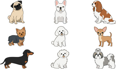 Obraz premium Small Dog Breed Collection with Pug French Bulldog Cavalier Yorkshire Terrier Dachshund Chihuahua Maltese and Shih Tzu Vector Illustration Set