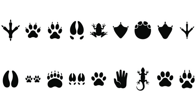Collection of animal paw prints and footprints silhouettes with footprints silhouette wildlife collection isolated adventure creature