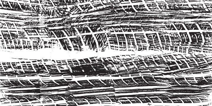 Rough black and white texture vector. Distressed overlay texture. Grunge background. Abstract textured effect. Vector Illustration. Black isolated on white background. EPS10