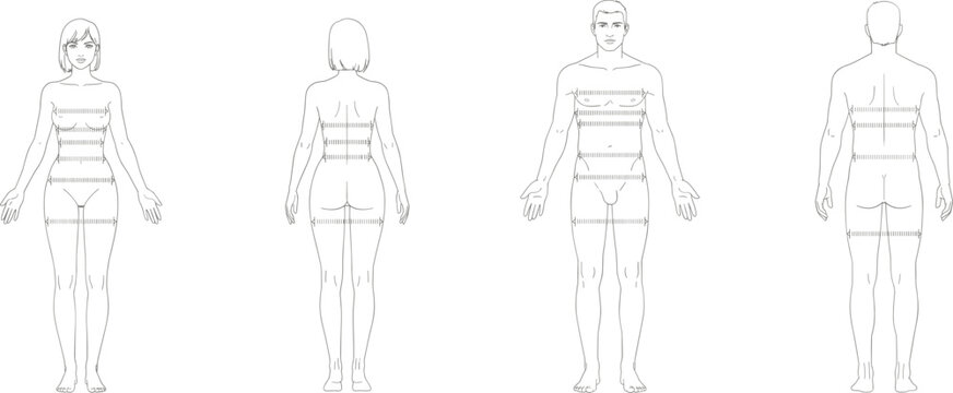 Male and Female Body Outline with Measurement Lines for Sizing and Tailoring human figure