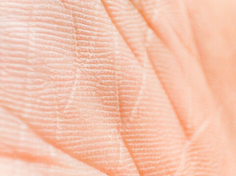 Extreme macro close-up showing detailed human skin texture, epidermal ridges, and natural palm lines with bright, clear lighting. Ideal for health stock.