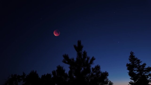 Blue hour time with lunar eclipse, stars and planets above landscape silhouettes.