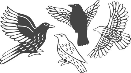 Fototapeta premium Set of four black and white bird in various flying and perched poses, featuring detailed line work on a white background
