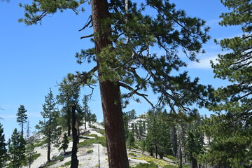 Fototapeta premium rocky mountain top view from cattle mountain