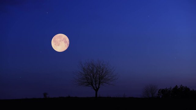 Full Moon on a twilight sky with landscape and tree silhouettes.