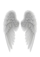 Obraz premium Pair of Detailed White Angel Wings Isolated on White Background for Spiritual and Divine Concepts