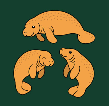 Cute set of manatee illustrations in vector format that can change colors, great for zoo marketing posters or logo designs