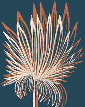 Abstract Floral Illustration On Navy Blue