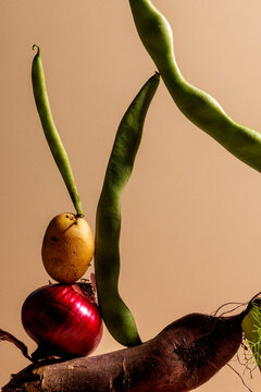 Conceptual vegetable still life