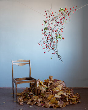 Still life with dry leaves