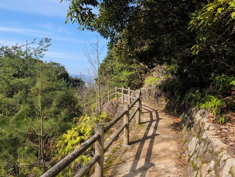 Miyajima Island Forest Hiking Trail with Wooden Fence
