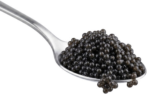 Luxurious Serving of Sturgeon Roe on a Silver Spoon