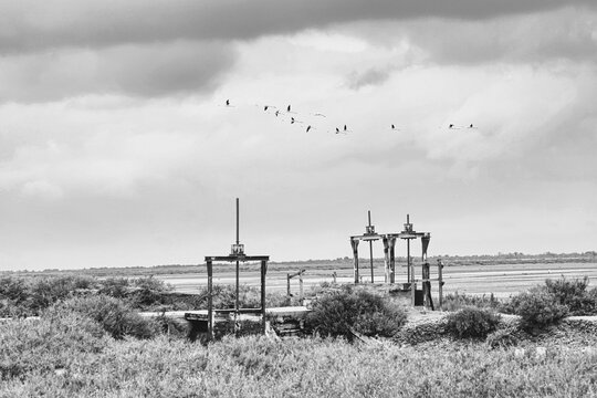 Blick in die gefluteten Brackwasserwiesen der Camargue in S&uuml;dfrankreich mit fliegenden Flamingos und den typischen Fluttoren