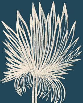 Abstract Floral Illustration On Navy Blue