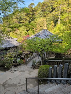 Japanese Temple Pagoda and Stone Bridge on Miyajima Island