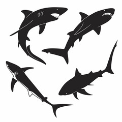 Black shark silhouettes in four dynamic poses, isolated on white black silhouette © RABBI