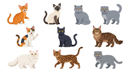 Fototapeta premium Collection of Adorable Felines: A delightful assortment of cat breeds, each with unique markings and poses, showcased in a charming arrangement.