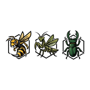 Set of three illustrated insects in hexagon frames featuring a wasp, praying mantis, and stag beetle in a stylized vintage vector graphic design