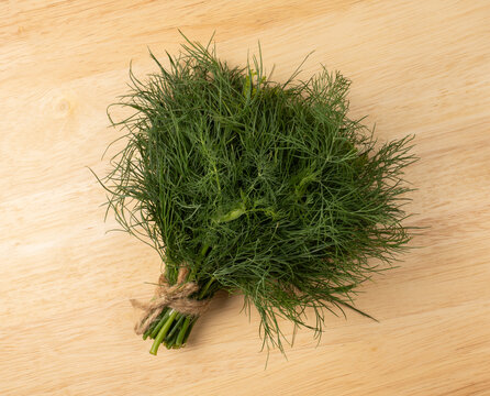 Fresh dill bunch tied with twine on wooden table