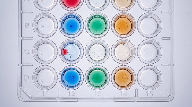 Multiwell laboratory plate containing various colorful chemical liquid samples.