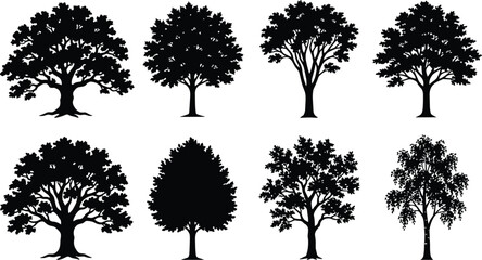 Black Deciduous Tree Silhouette Collection with Detailed Branches, Trunks and Diverse Leafy Canopies © Sahara