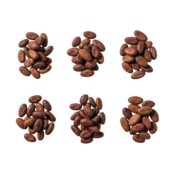 Six small piles of brown roasted cocoa beans