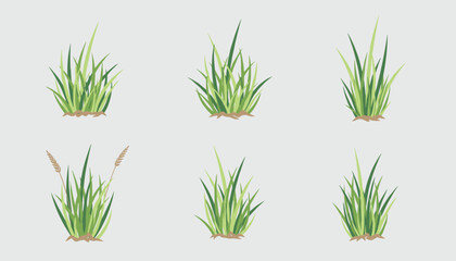 Fototapeta premium Set of six green grass clumps in various shapes and sizes for garden, lawn, or landscape design illustration.