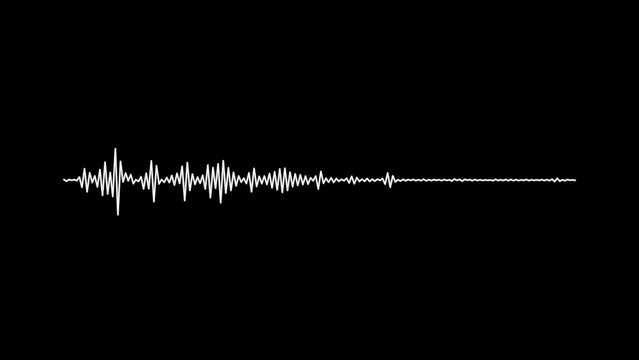 White sound waveform on a solid black background, representing audio frequency and digital signal data visualization