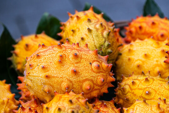Fruit of a pitahaya cactus, with leathery yellow skin studded with scale-like bracts  with a bland taste.