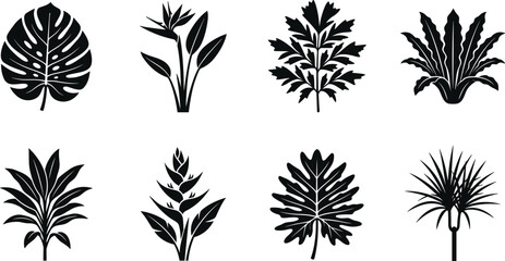 Tropical plant leaves and exotic flowers black silhouette vector icon set featuring monstera bird of paradise and palm © Robiul