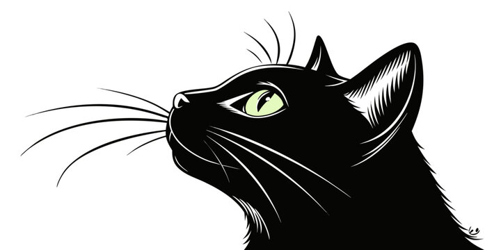 Black cat face silhouette, sharp profile, white background, profile view sharp, white background