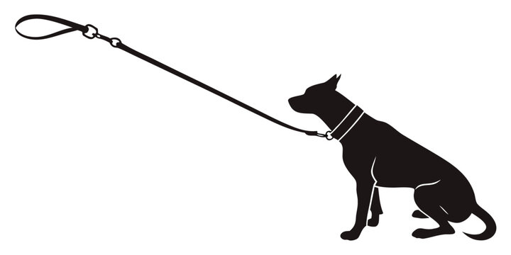 Black dog on leash silhouette against white background, collar
