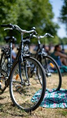 Fototapeta premium Bicycles Parked Beside Picnic Blanket in Park on Sunny Day