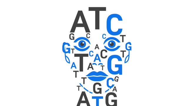 Human Face Silhouette Composed of DNA Genetic Code Nucleotides A T C G - Genomic Identity, Biotechnology, and Genetic Research Concept Graphic