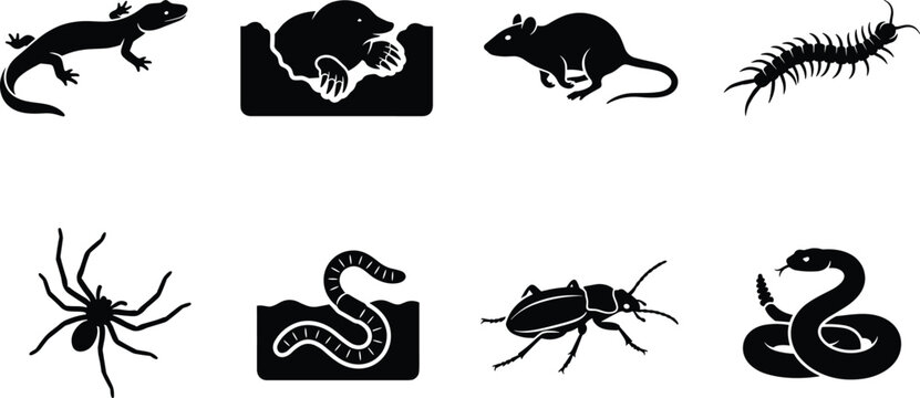 Underground and soil animals silhouette set featuring salamander mole rat centipede spider earthworm beetle and rattlesnake