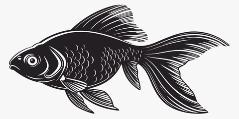 Black goldfish silhouette, isolated on white, detailed fins and scales pattern © Akshay