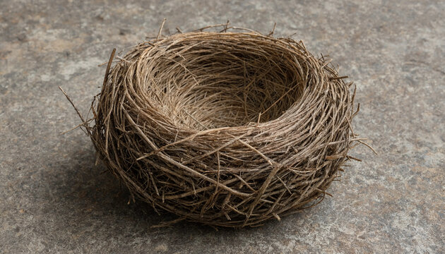 Empty bird nest made of dry twigs and woven grass resting on a rough concrete surface, showing natural construction and organic textures