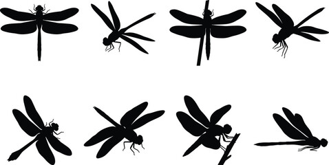 Dragonfly silhouette collection featuring flying perching and top view insect positions vector set © MdBabul
